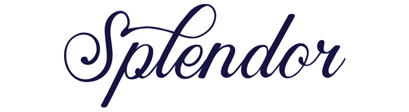 logoindigo